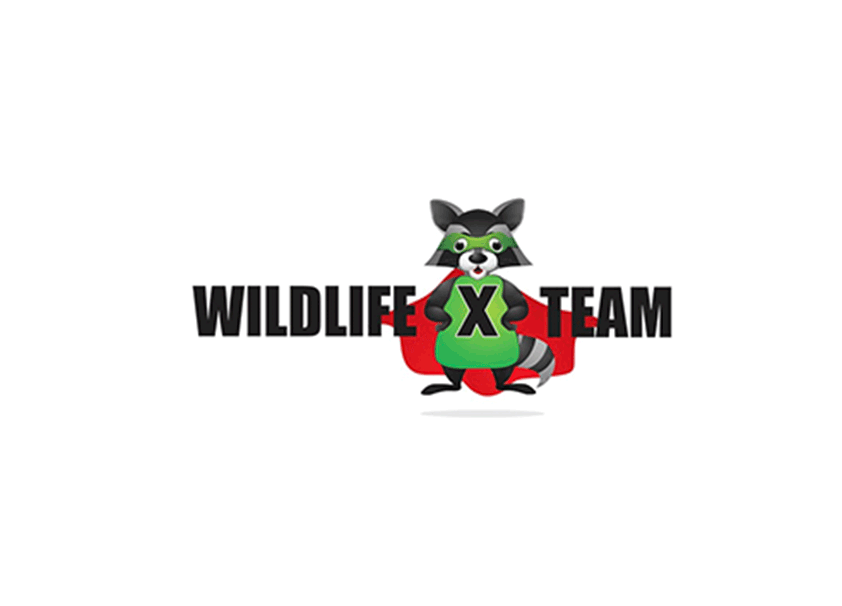 Wildlife X Team