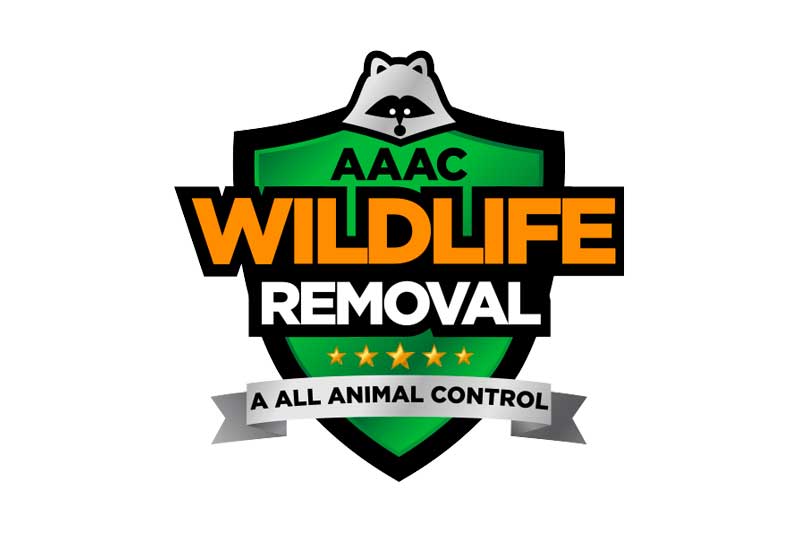 AAAC Wildlife Removal 